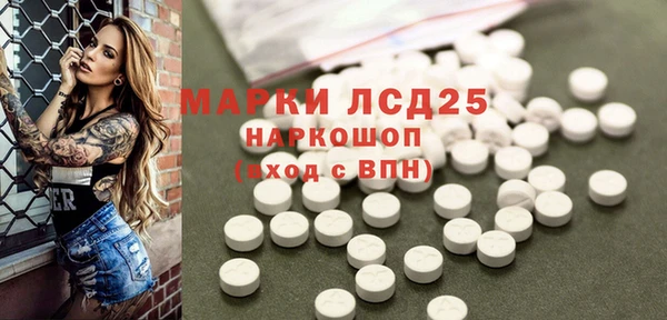 индика Аша