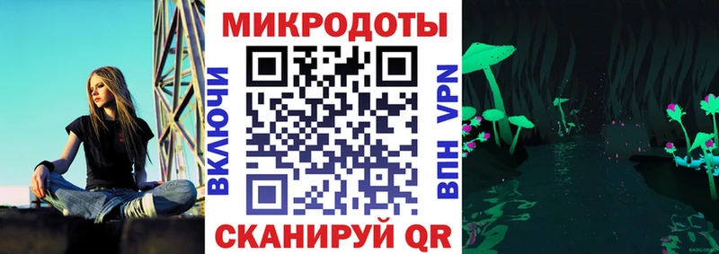 Псилоцибиновые грибы MAGIC MUSHROOMS  Стародуб 